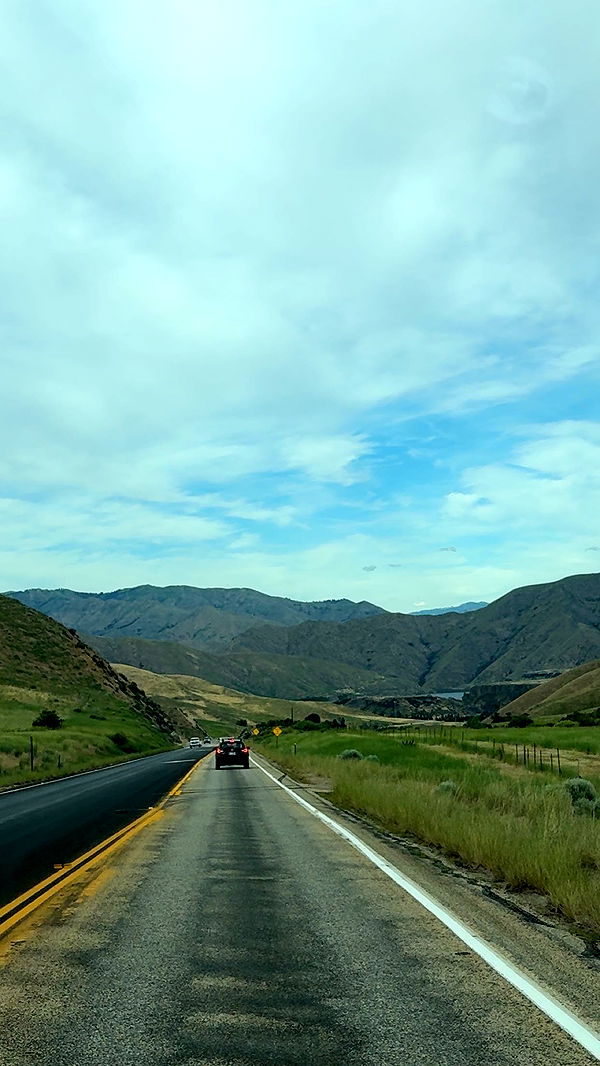 realhaylujan image ~ Altpins