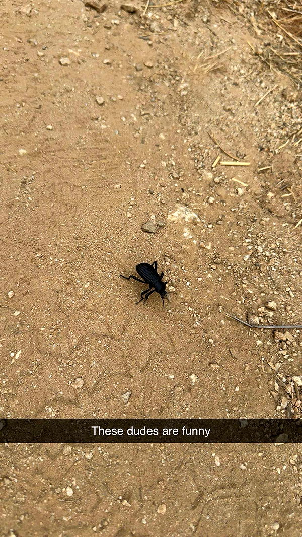 realhaylujan image ~ Altpins