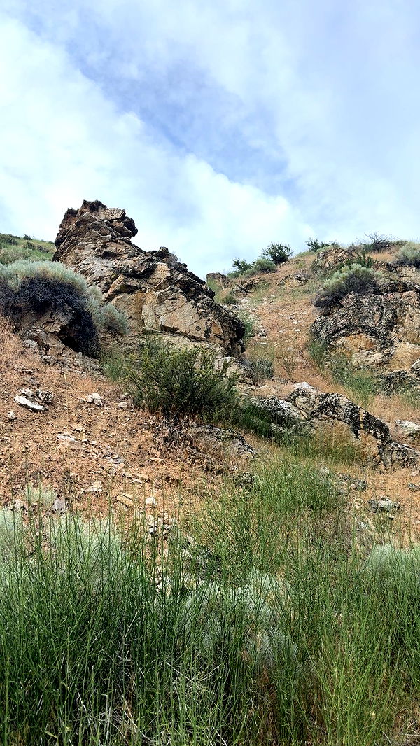 realhaylujan image ~ Altpins