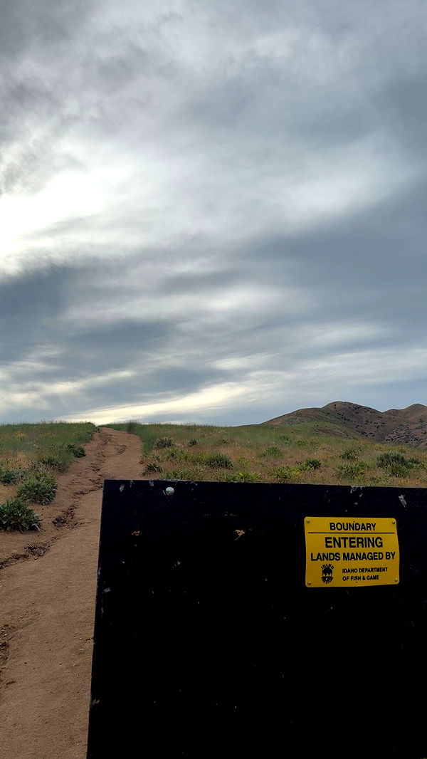 realhaylujan image ~ Altpins