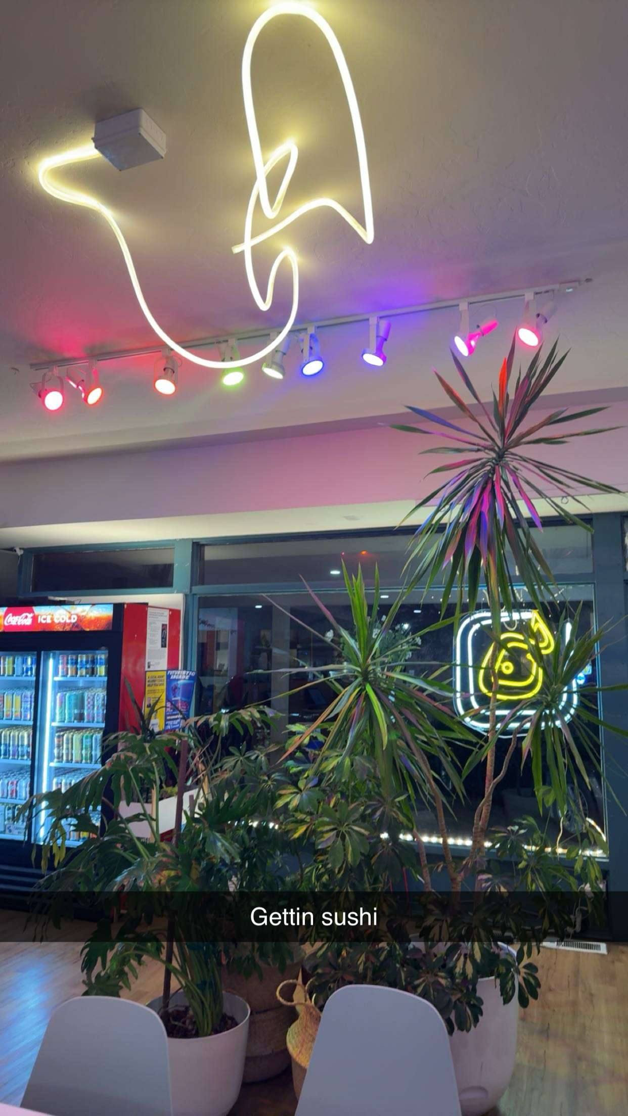 realhaylujan snapchat image archive image