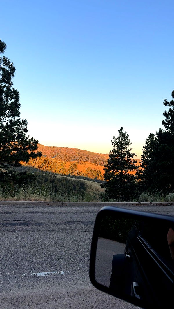 realhaylujan image ~ Altpins