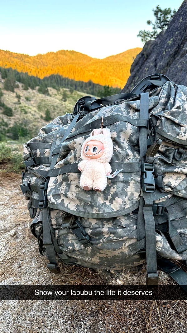 realhaylujan image ~ Altpins