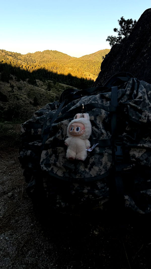 realhaylujan image ~ Altpins