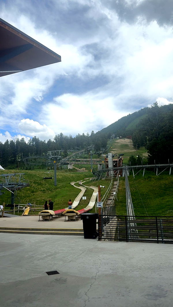 realhaylujan image ~ Altpins