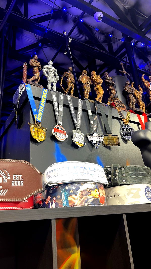 realhaylujan image ~ Altpins