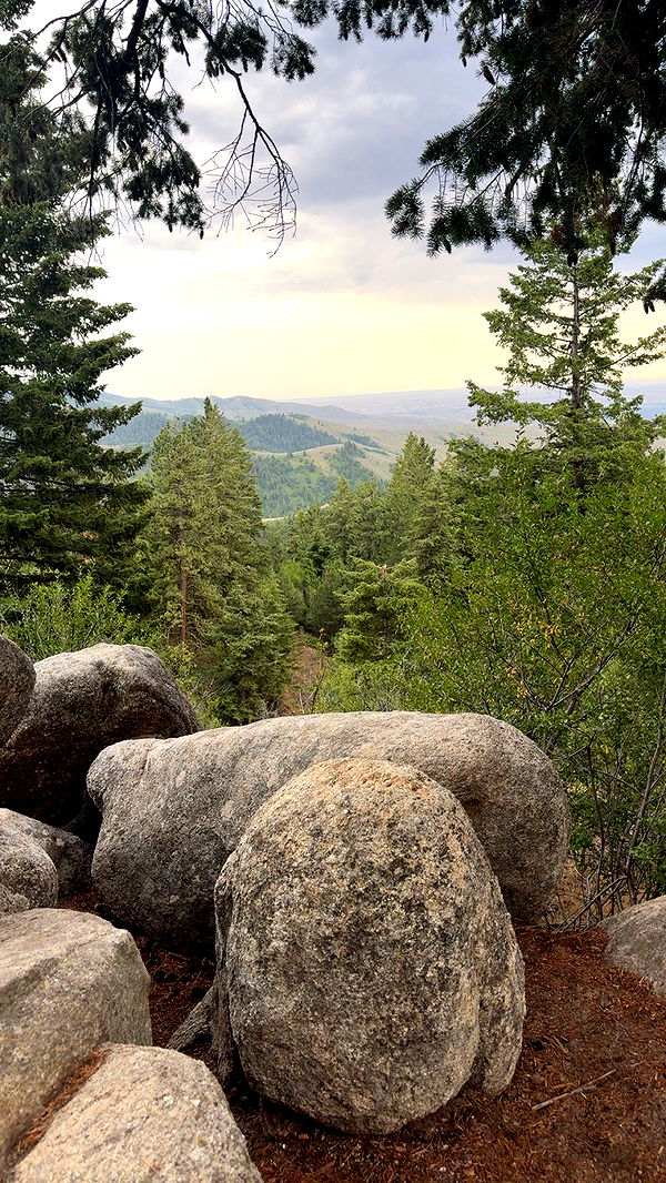 realhaylujan image ~ Altpins