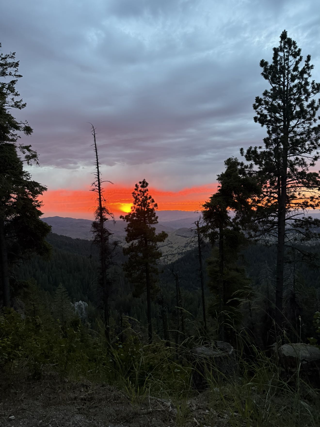 realhaylujan snapchat image archive image