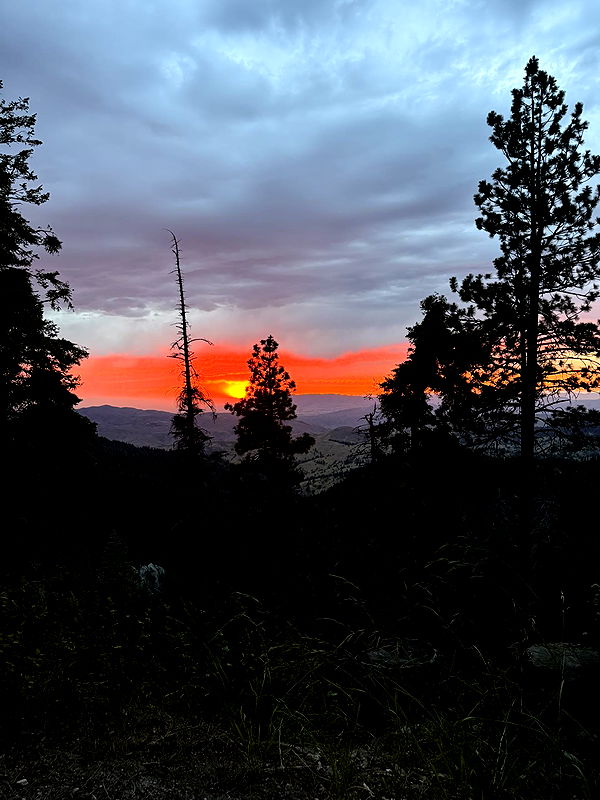 realhaylujan image ~ Altpins