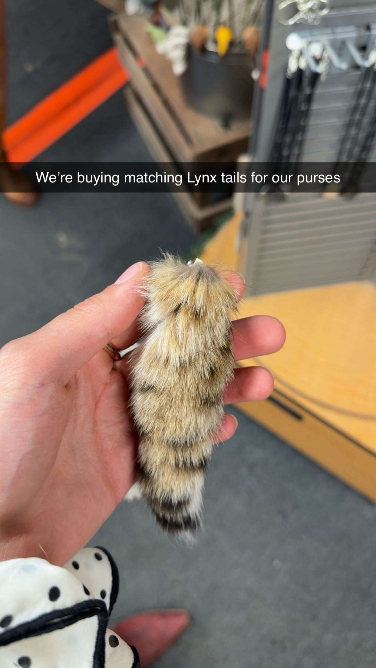 realhaylujan snapchat image archive image