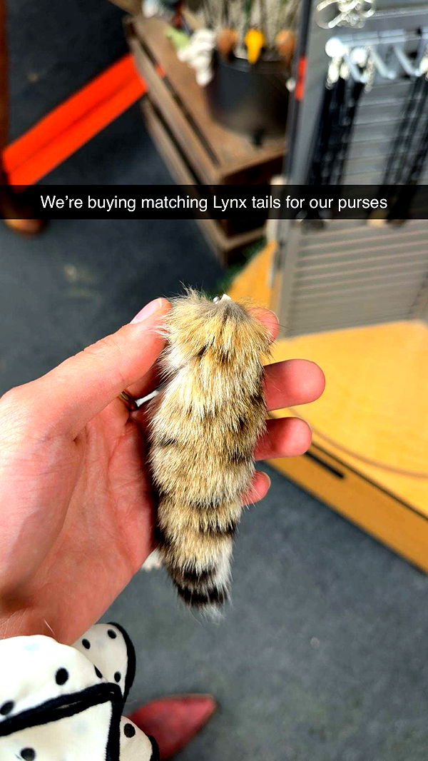 realhaylujan image ~ Altpins