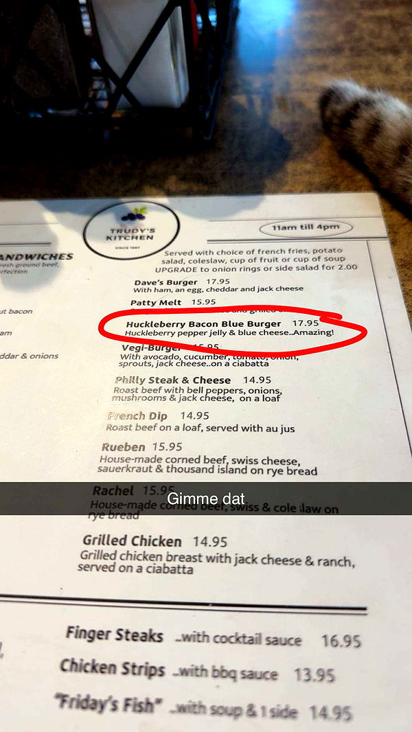 realhaylujan image ~ Altpins