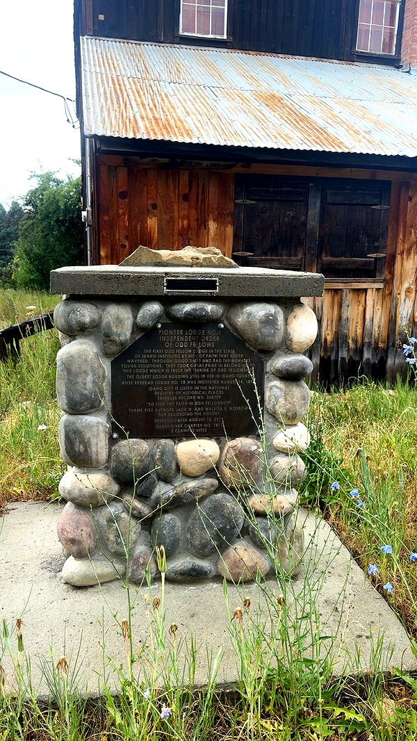 realhaylujan image ~ Altpins