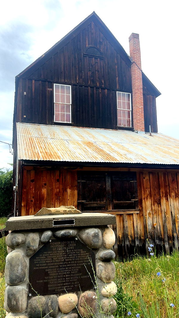 realhaylujan image ~ Altpins