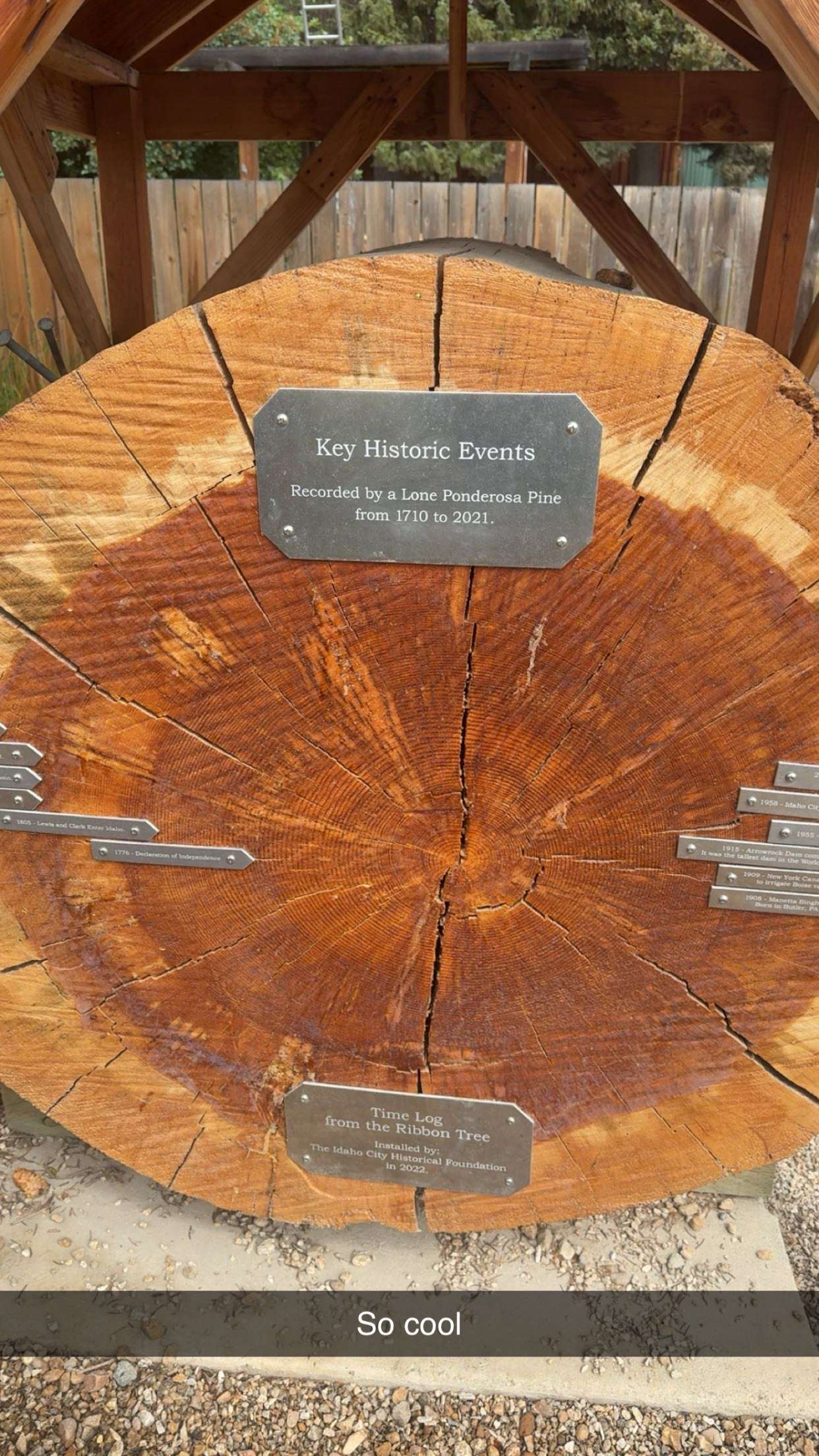 realhaylujan snapchat image archive image