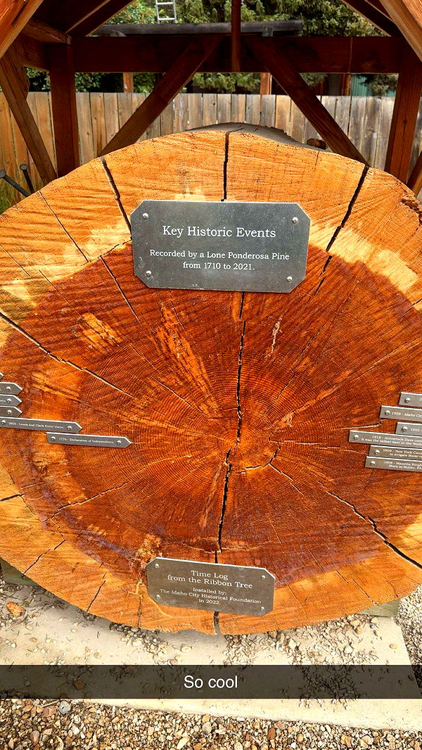 realhaylujan image ~ Altpins