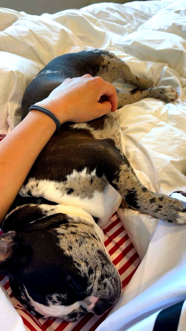 realhaylujan image ~ Altpins