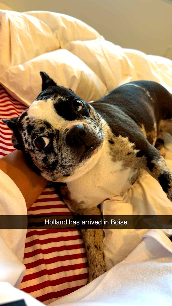 realhaylujan image ~ Altpins