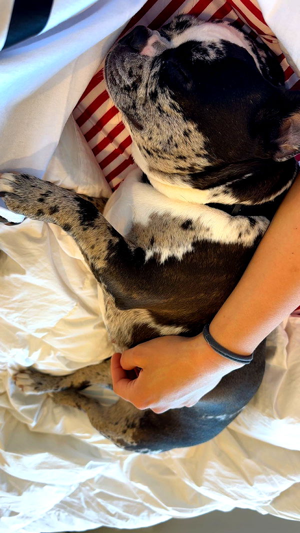 realhaylujan image ~ Altpins