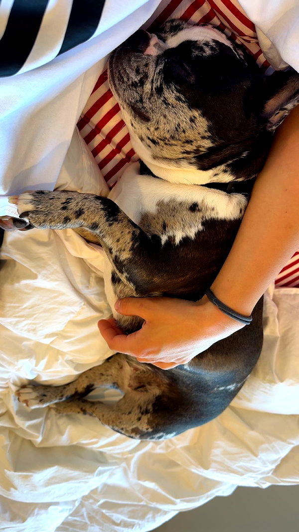 realhaylujan image ~ Altpins