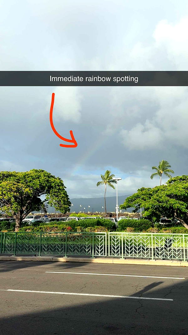 realhaylujan image ~ Altpins