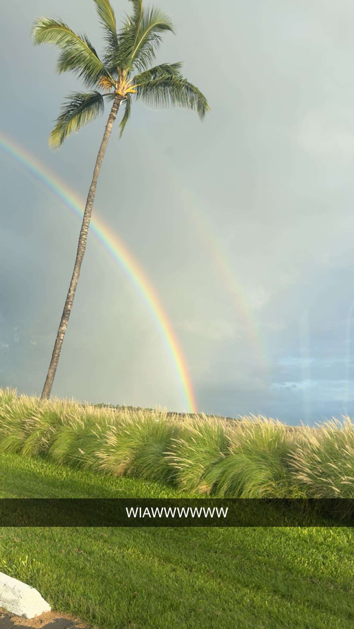 realhaylujan snapchat image archive image