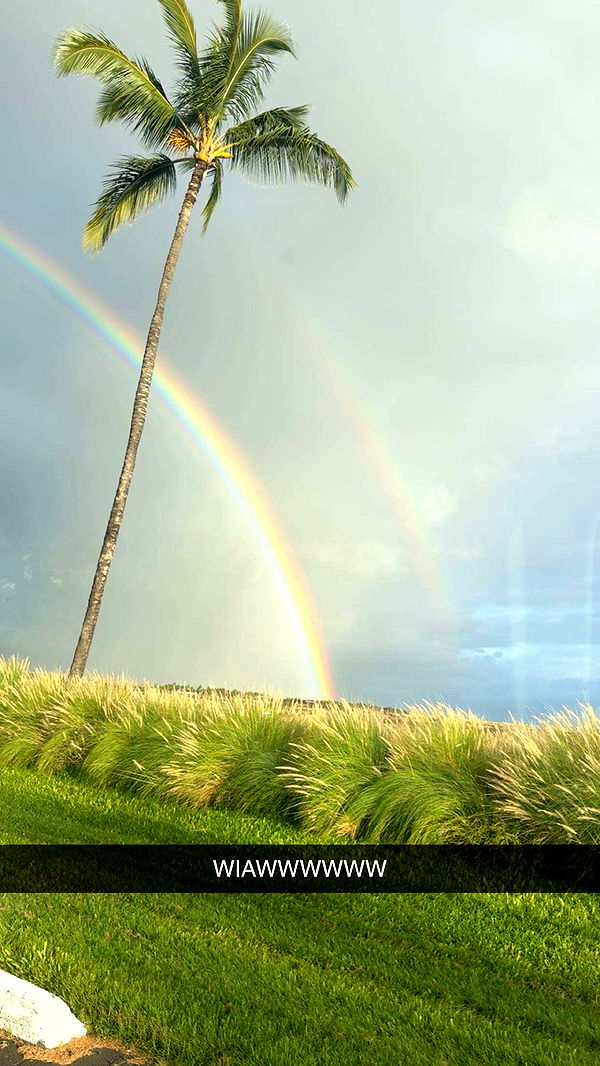 realhaylujan image ~ Altpins