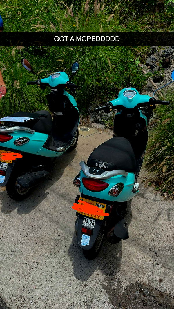 realhaylujan image ~ Altpins