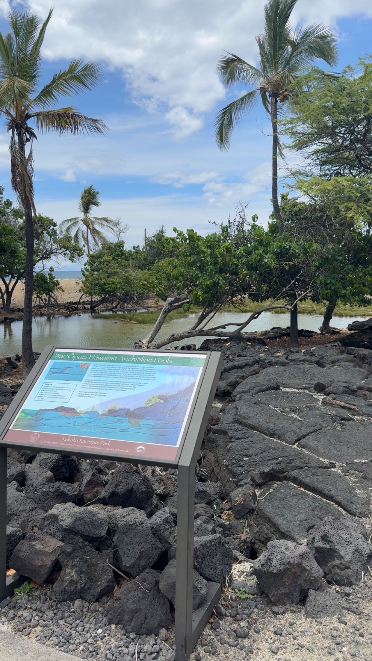 realhaylujan snapchat image archive image