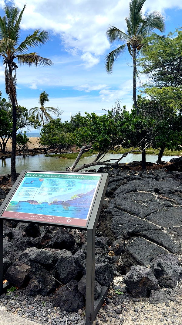 realhaylujan image ~ Altpins