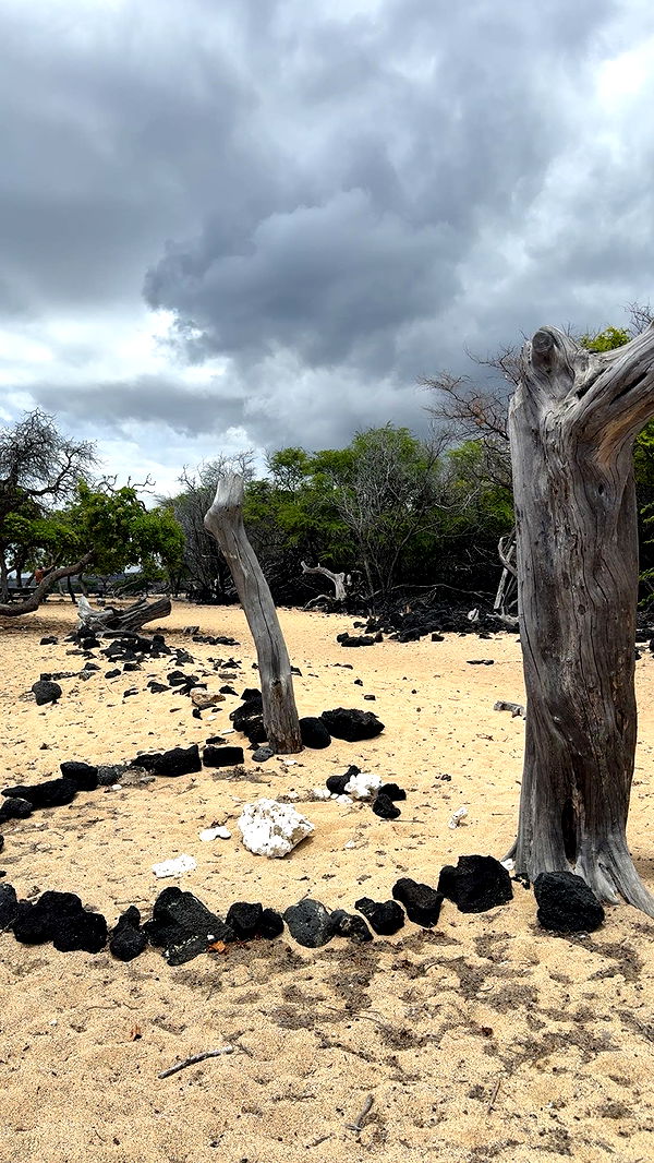 realhaylujan image ~ Altpins