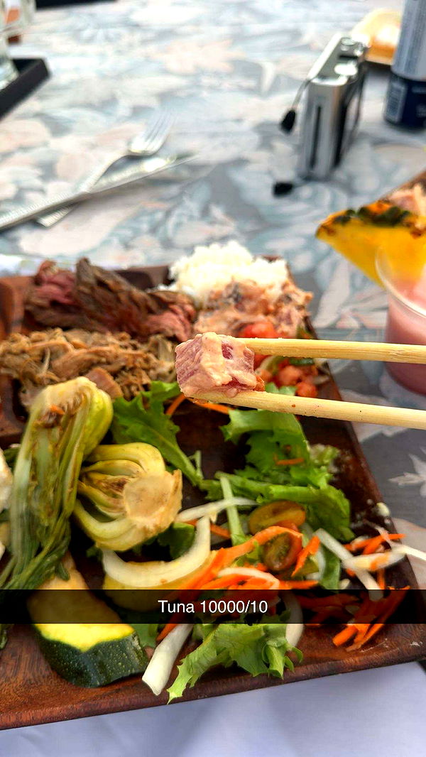 realhaylujan image ~ Altpins