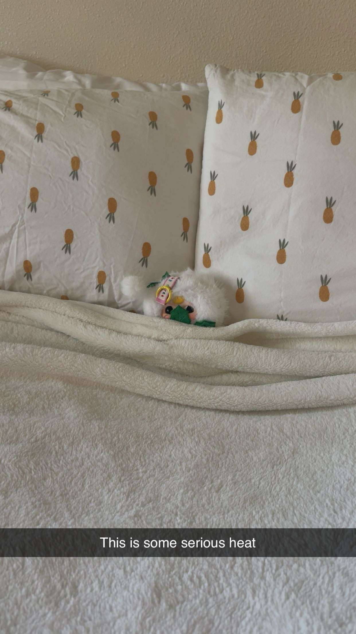 realhaylujan snapchat image archive image