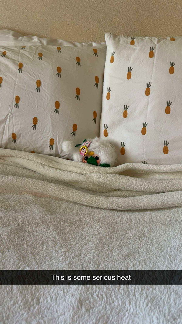 realhaylujan image ~ Altpins