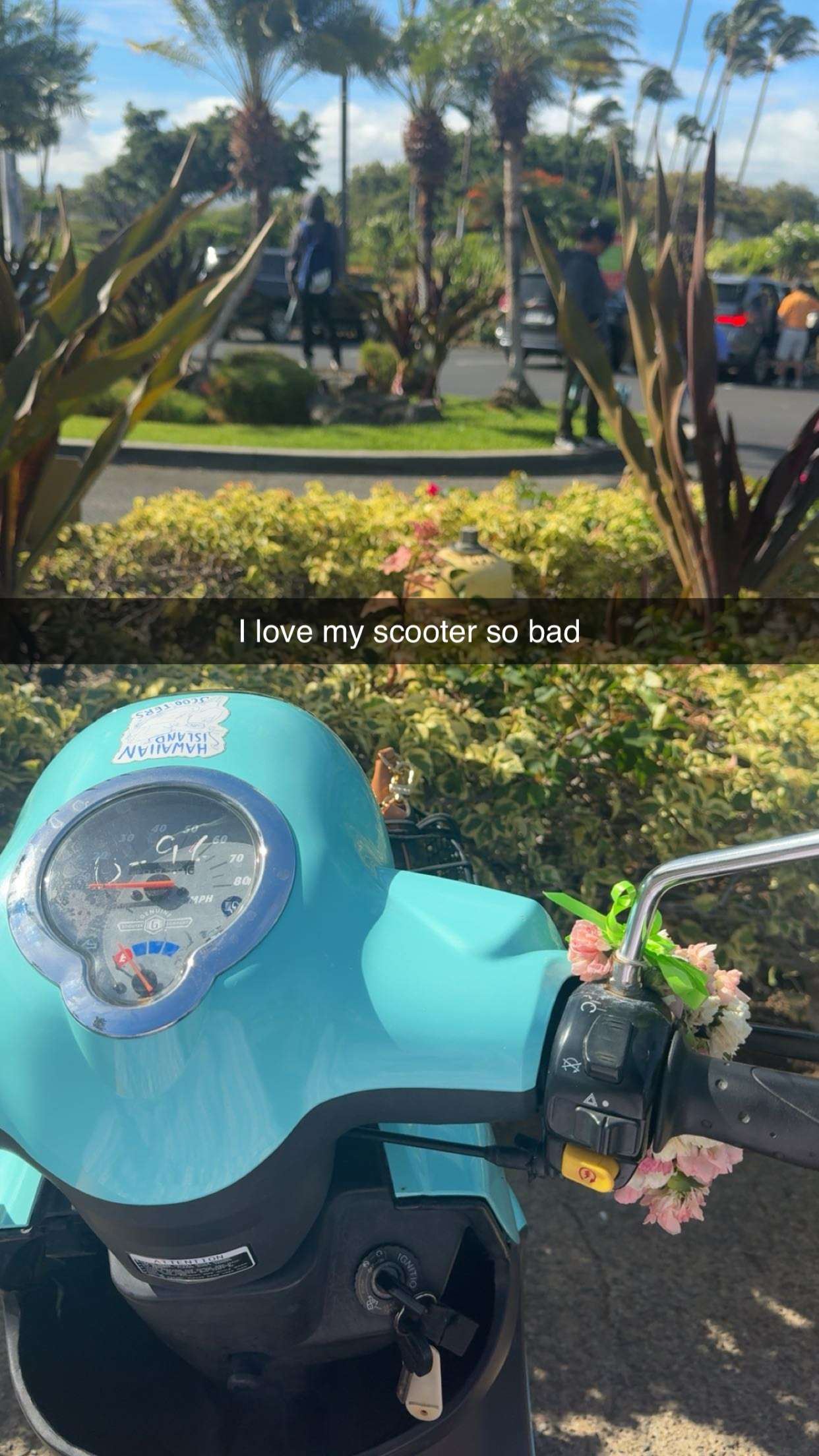 realhaylujan snapchat image archive image