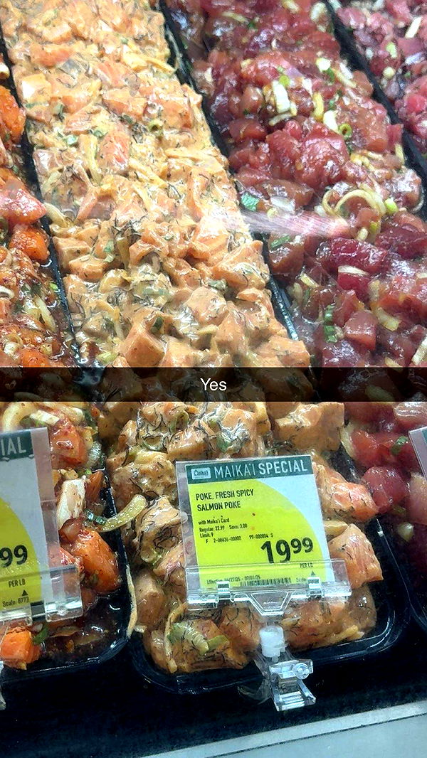 realhaylujan image ~ Altpins