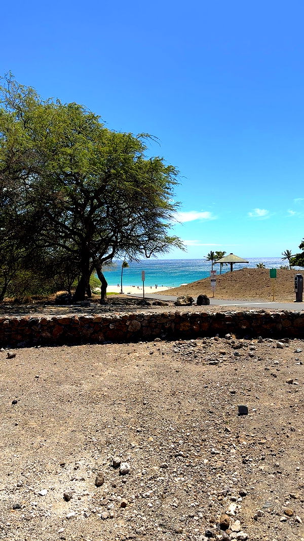 realhaylujan image ~ Altpins