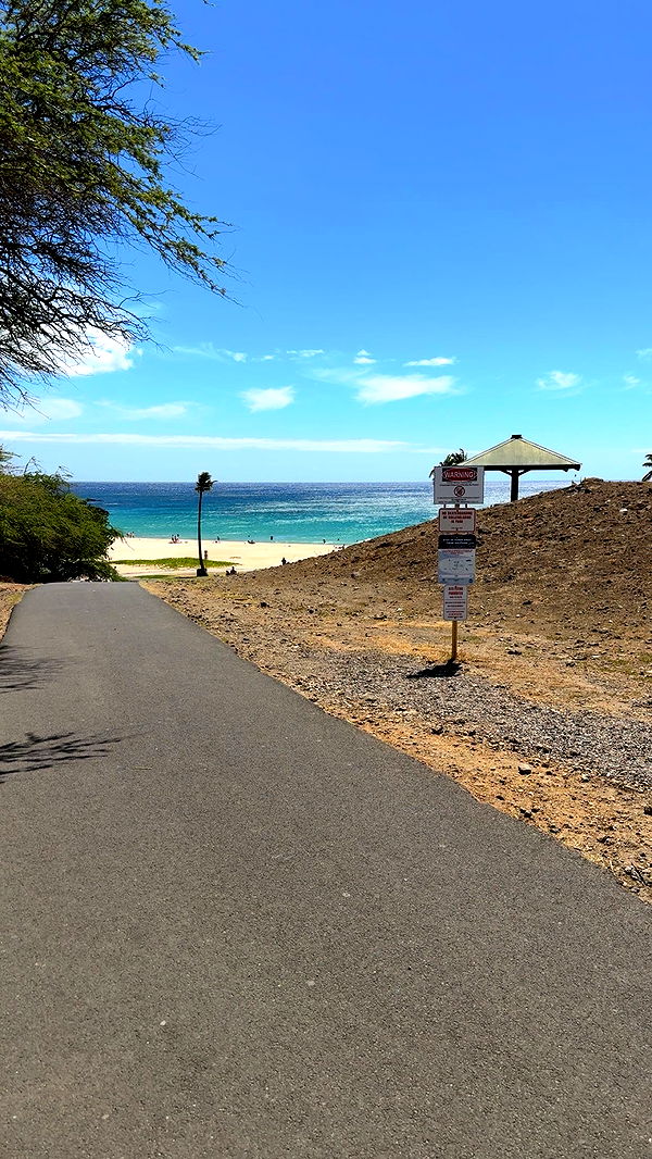 realhaylujan image ~ Altpins