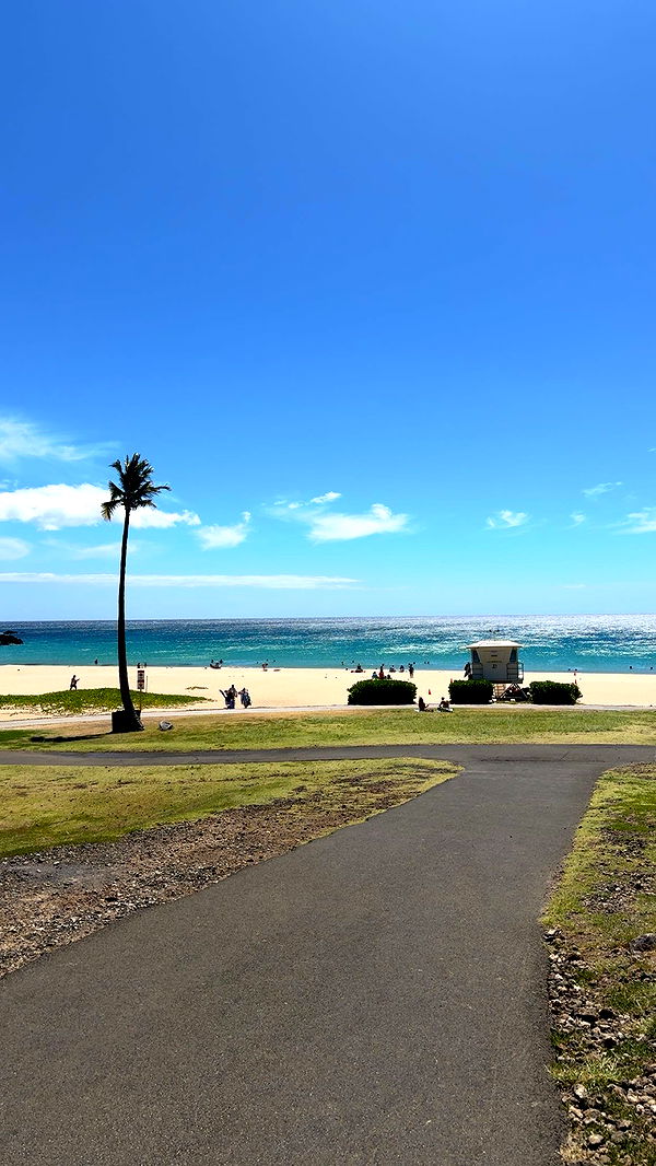 realhaylujan image ~ Altpins