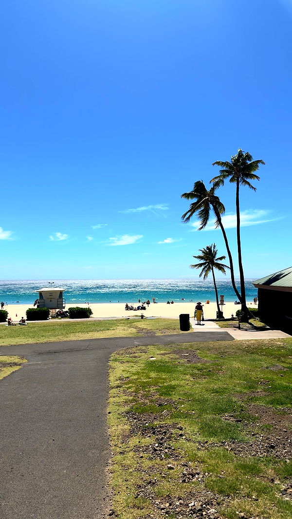 realhaylujan image ~ Altpins