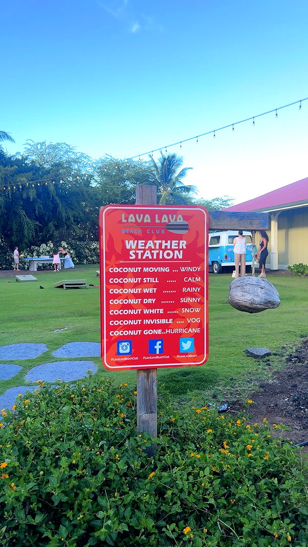 realhaylujan image ~ Altpins