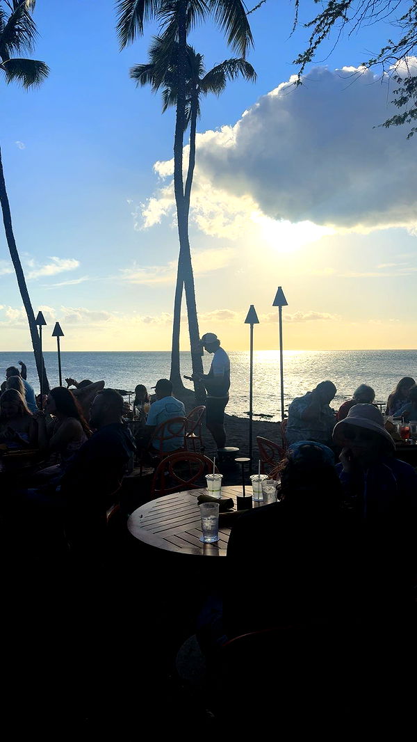 realhaylujan image ~ Altpins