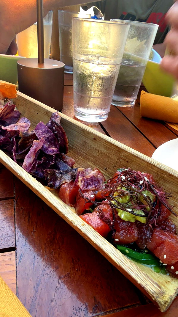 realhaylujan image ~ Altpins