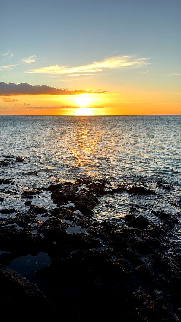 realhaylujan image ~ Altpins