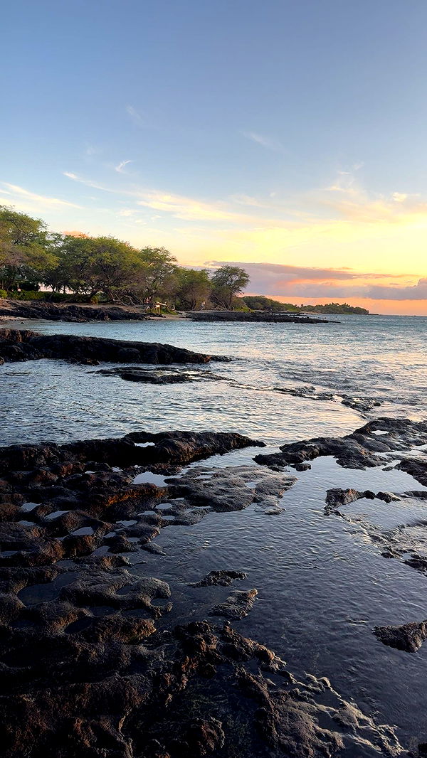 realhaylujan image ~ Altpins