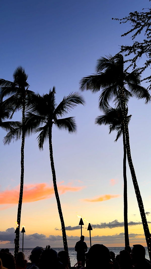 realhaylujan image ~ Altpins