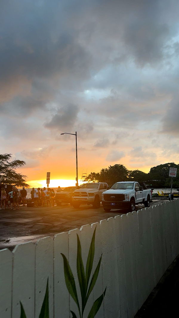 realhaylujan image ~ Altpins