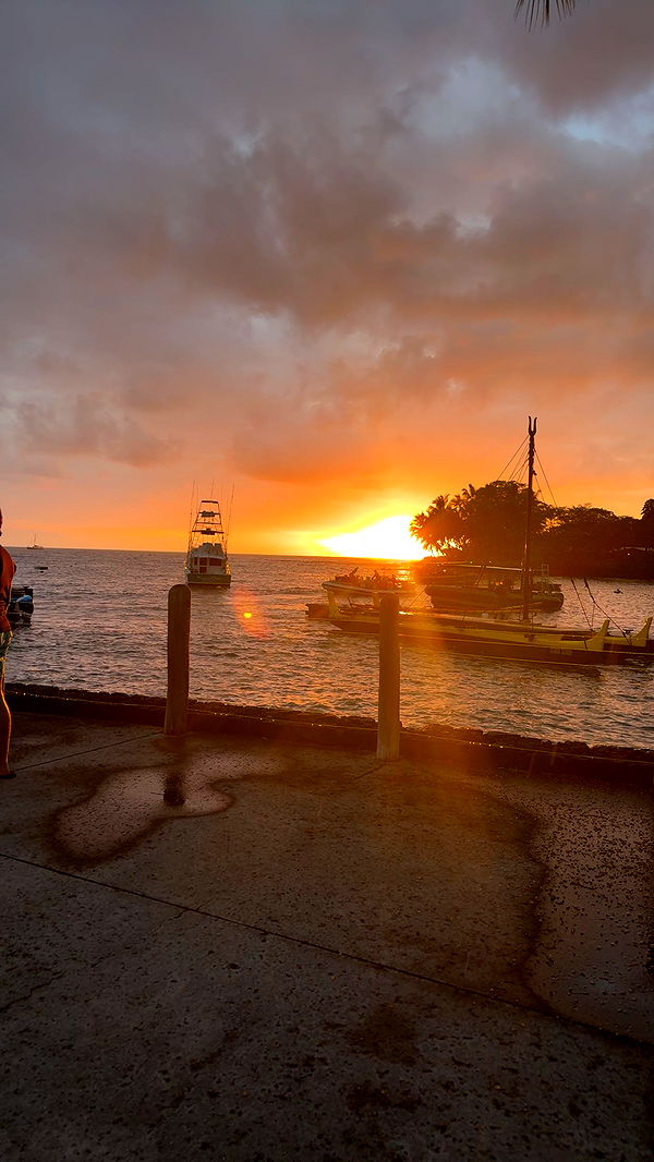 realhaylujan image ~ Altpins