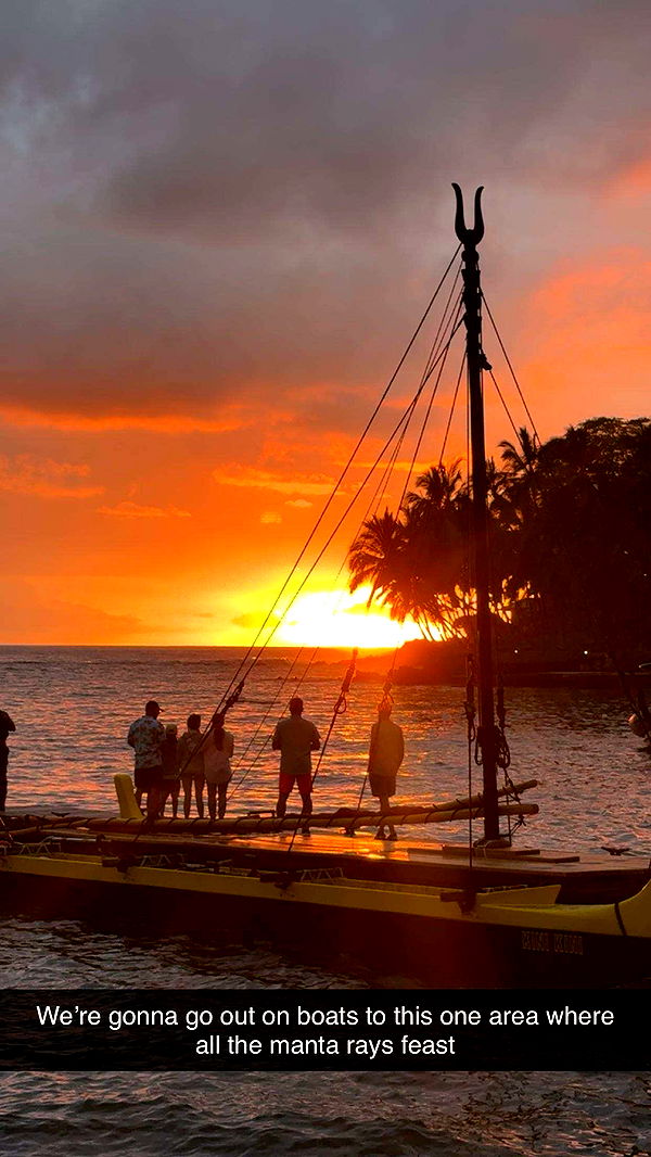 realhaylujan image ~ Altpins