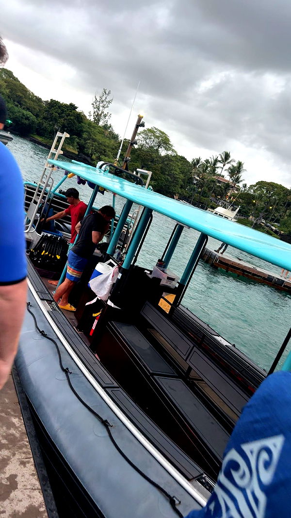 realhaylujan image ~ Altpins